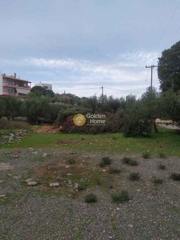 Οικόπεδο 3.750 τ.μ. προς πώληση, Ξηρόκαμπος Αγίου Νικολάου