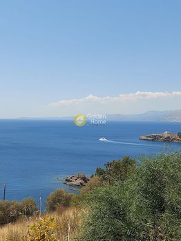 Αγροτεμάχια 1.234 τ.μ. για πώληση