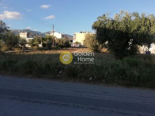Αγροτεμάχια 1.200 τ.μ. για ενοικίαση