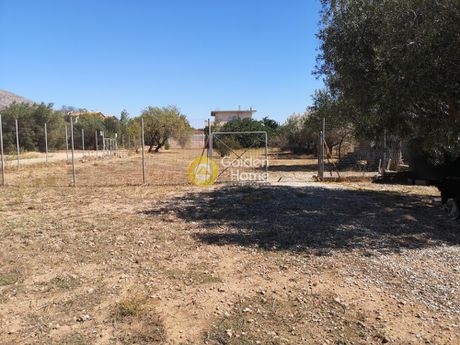 Land plot 1.000sqm for sale-Kalivia Thorikou » Lagonisi