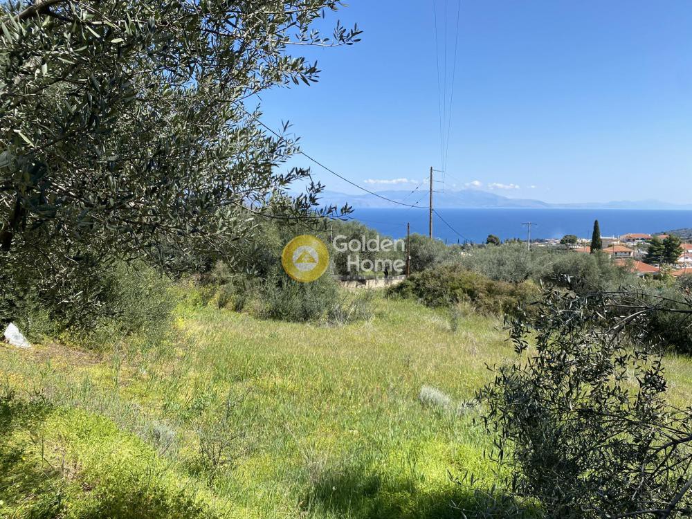 Οικόπεδο 1.250 τ.μ. προς πώληση, Άμπελος Ακράτας