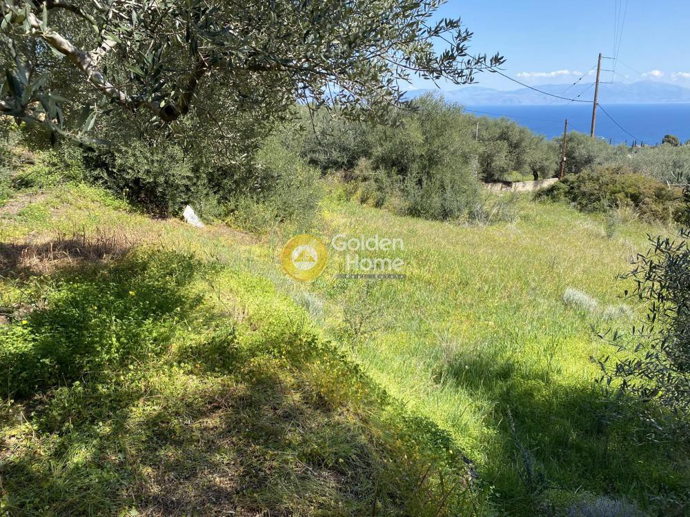 Οικόπεδο 1.250 τ.μ. προς πώληση, Άμπελος Ακράτας