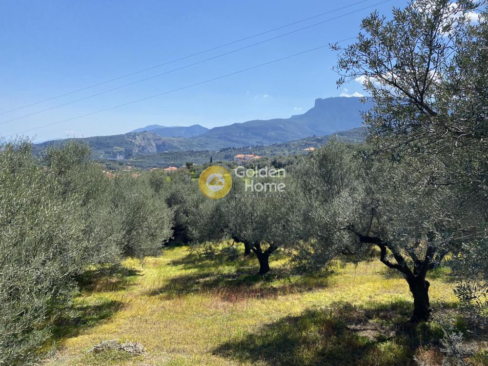 Οικόπεδο 1.250 τ.μ. προς πώληση, Άμπελος Ακράτας