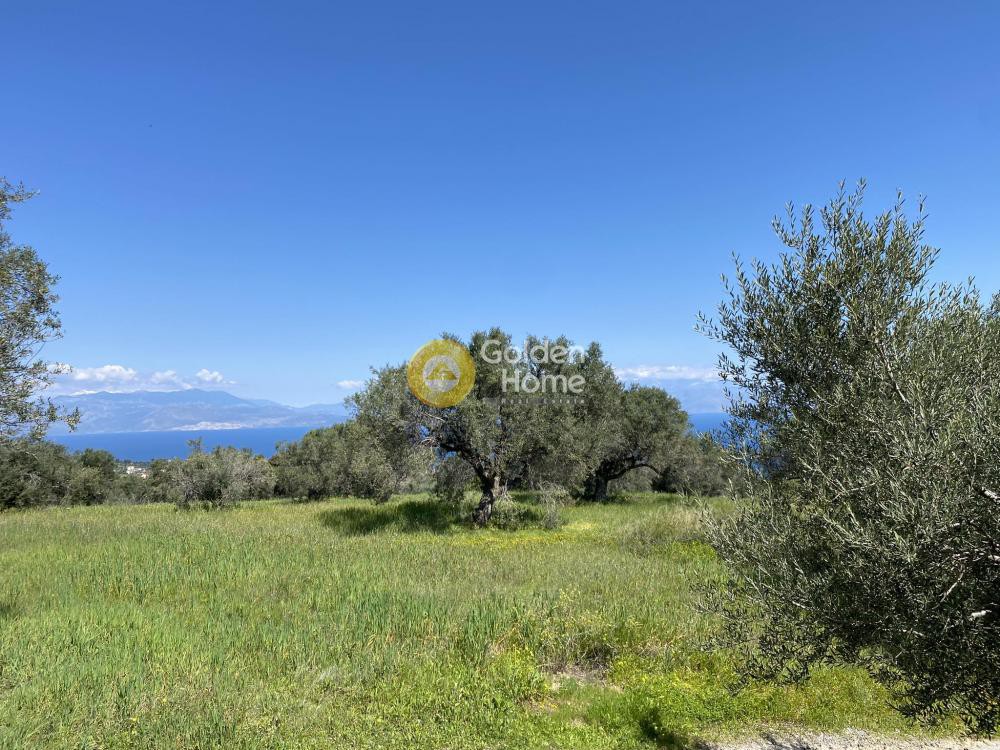 Οικόπεδο 1.250 τ.μ. προς πώληση, Άμπελος Ακράτας