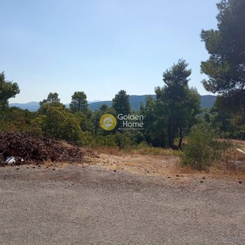 Οικόπεδο 2.172τ.μ. για πώληση-Αφίδνες » Αγία τριάδα