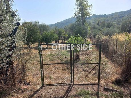Οικόπεδο 1.750τ.μ. για πώληση-Φαρίδα » Ξηροκάμπι