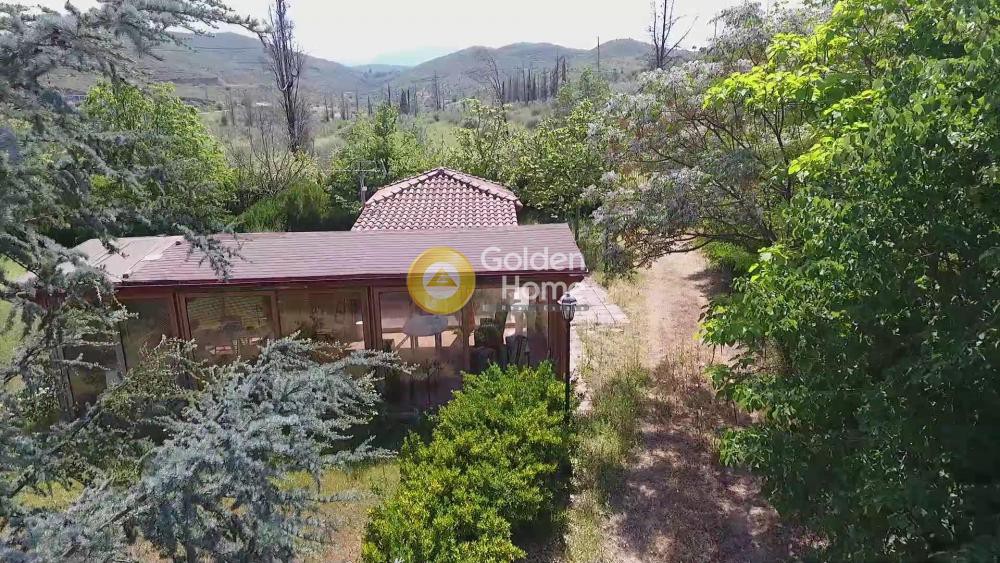 Οικόπεδο 26.000 τ.μ. προς πώληση, Βοιωτία, Χαιρώνεια