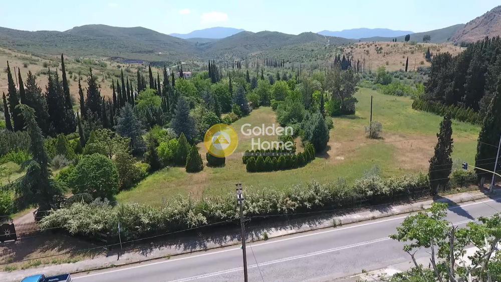 Οικόπεδο 26.000 τ.μ. προς πώληση, Βοιωτία, Χαιρώνεια