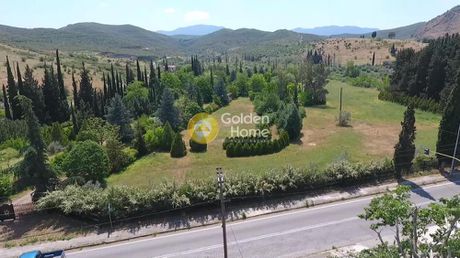 Οικόπεδο 26.000τ.μ. για πώληση-Χαιρώνεια » Κέντρο
