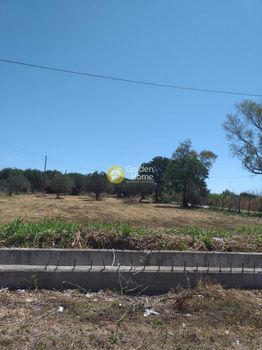 Οικόπεδο 3.850τ.μ. για πώληση-Μόβρη » Γερουσαίικα