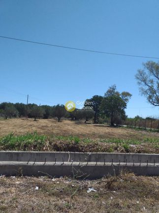 Land plot 3.850 sqm for sale, Achaia, Movri