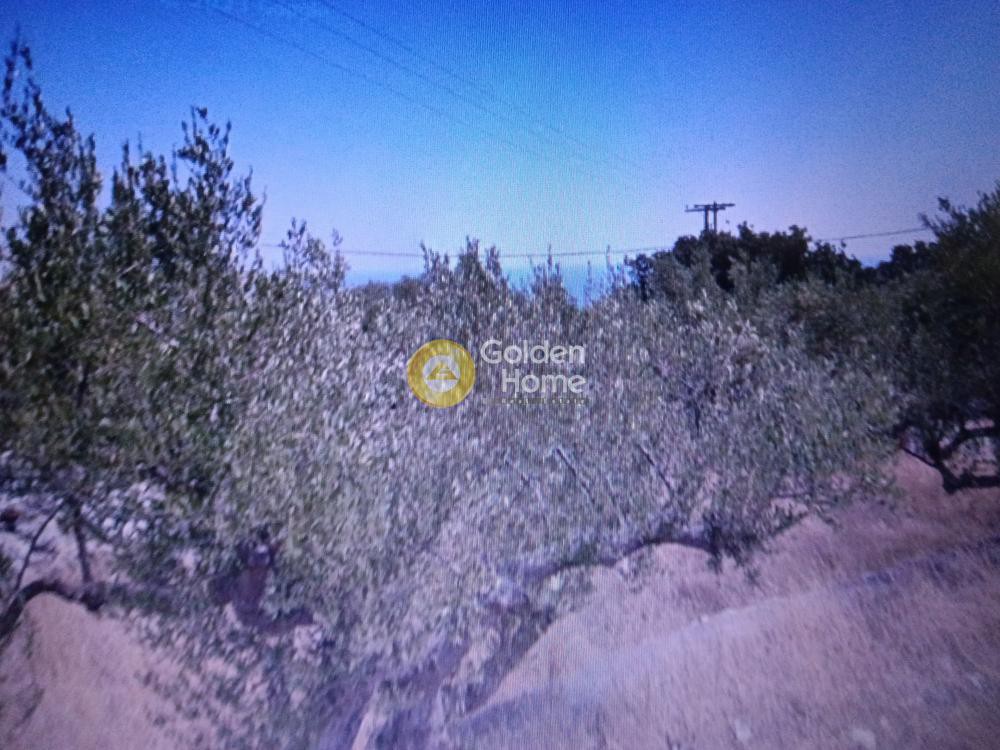 Οικόπεδο 669 τ.μ. προς πώληση, Λακωνία, Ανατολική Μάνη