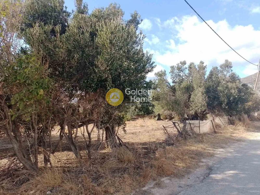 Οικόπεδο 2.000 τ.μ. πρός πώληση, Εύβοια, Κάρυστος