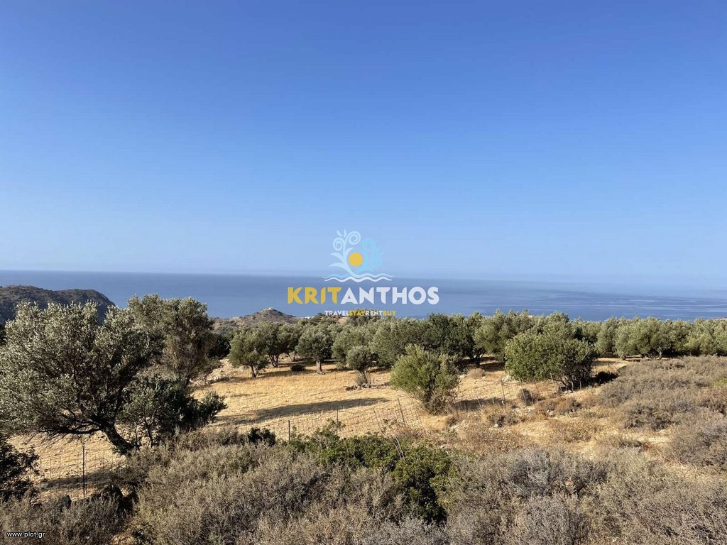 Οικόπεδο 10.000 τ.μ. πρός πώληση, Ν. Ρεθύμνου, Λάμπη