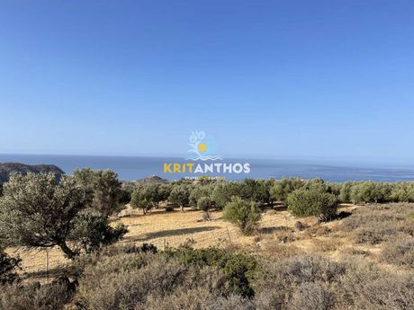 Land plot 10.000sqm for sale-Lampi » Triopetra