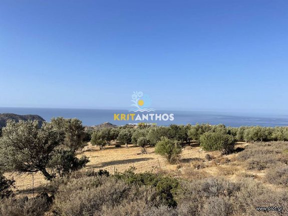 Οικόπεδο 10.000 τ.μ. για πώληση, Ν. Ρεθύμνου, Λάμπη