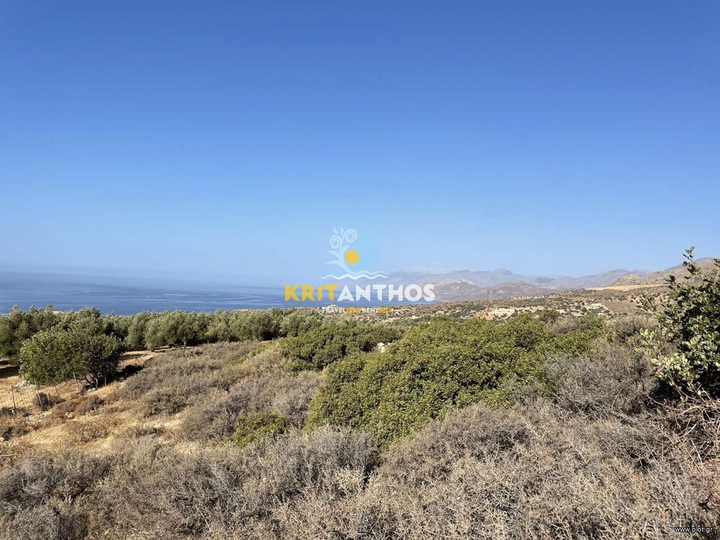Οικόπεδο 10.000 τ.μ. πρός πώληση, Ν. Ρεθύμνου, Λάμπη