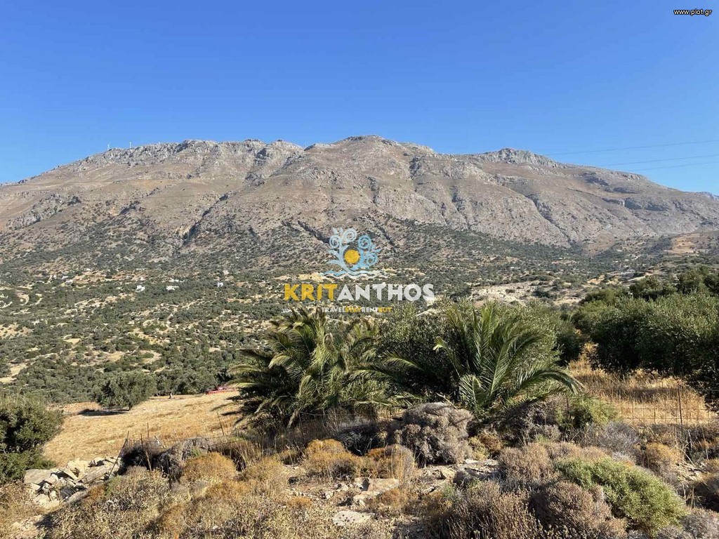 Οικόπεδο 10.000 τ.μ. πρός πώληση, Ν. Ρεθύμνου, Λάμπη