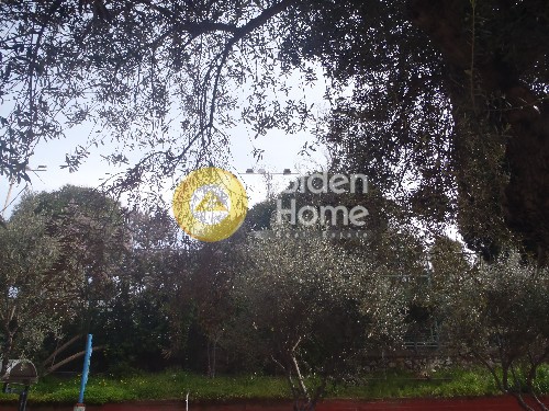 Οικόπεδο 196 τ.μ. πρός πώληση, Αθήνα - Κέντρο, Πετράλωνα