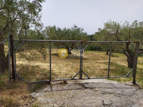 Οικόπεδο 4.000τ.μ. για πώληση-Πολυδένδρι