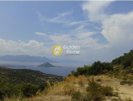 Οικόπεδο 9.000τ.μ. για πώληση-Αίγινα » Μονή κοιμήσεως θεοτόκου