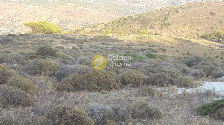 Αγροτεμάχια 30.000τ.μ. για πώληση-Κερατέα » Κέντρο