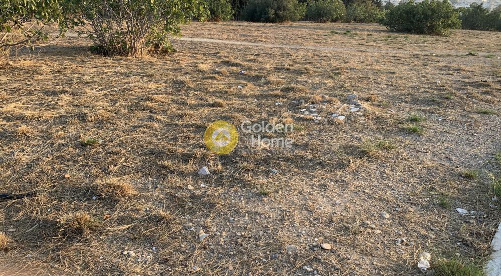 Οικόπεδο 2.492 τ.μ. προς πώληση, Ριμινιτών