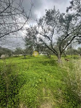 Οικόπεδο 9.500 τ.μ. για πώληση