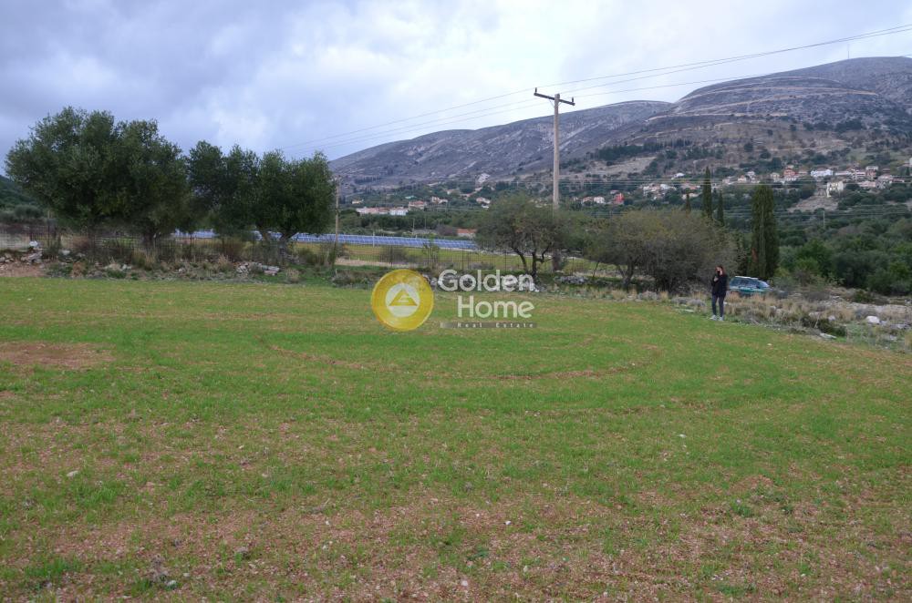 Αγροτεμάχια 8.000 τ.μ. προς πώληση, Αργοστόλι