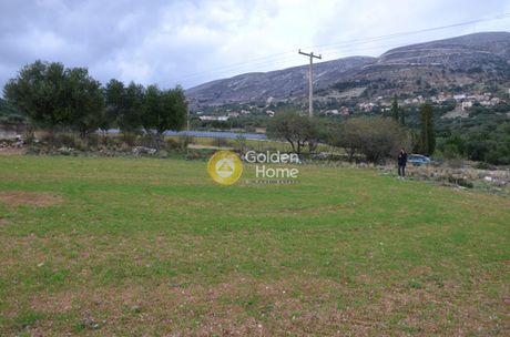 Αγροτεμάχια 8.000τ.μ. για πώληση-Κεφαλονιά » Αργοστόλι