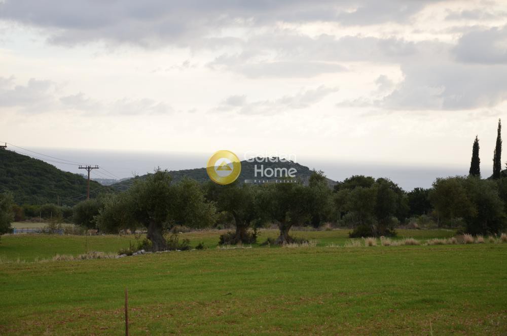Αγροτεμάχια 8.000 τ.μ. προς πώληση, Αργοστόλι