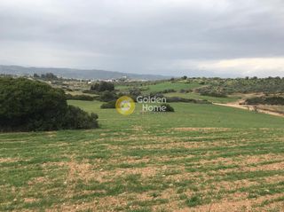 Οικόπεδο 13.050 τ.μ. για πώληση