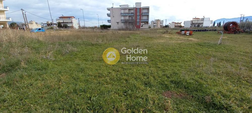 Οικόπεδο 677 τ.μ. προς πώληση, Κόμμα Λαμίας