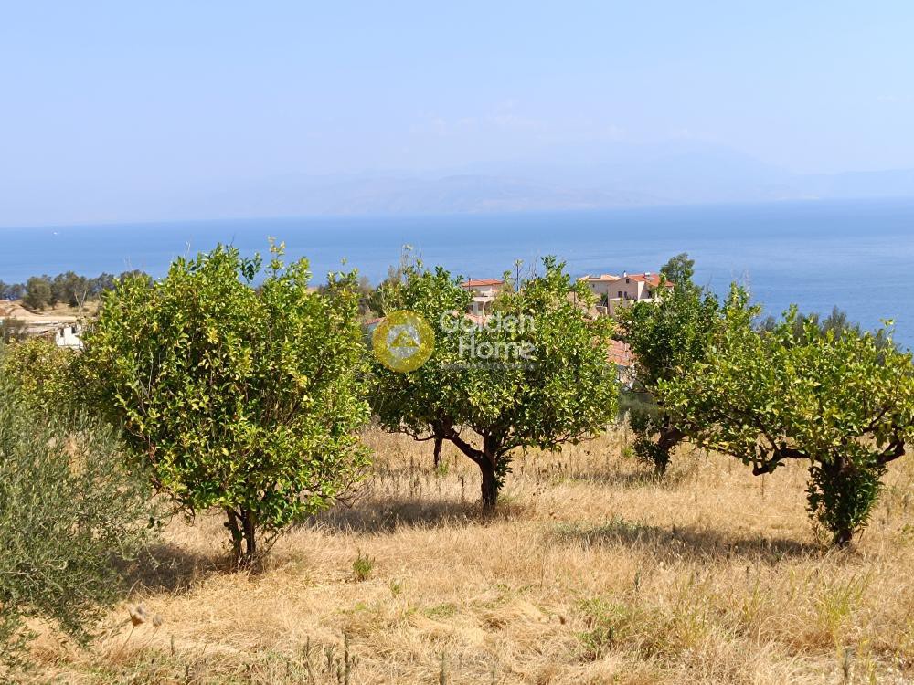 Οικόπεδο 10.000 τ.μ. προς πώληση, Άνω Λουτρό