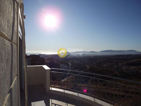 Μονοκατοικία 397τ.μ. για πώληση-Πικέρμι » Διώνη