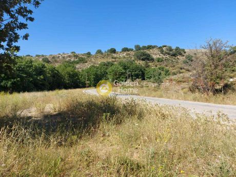 Αγροτεμάχια 2.463 τ.μ. για πώληση