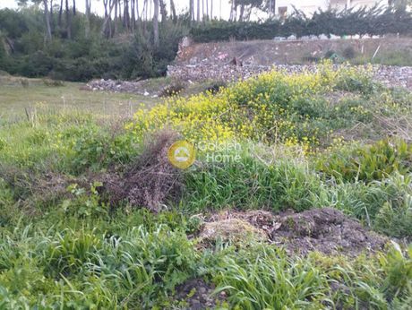 Αγροτεμάχια 2.032τ.μ. για πώληση-Άγιος στέφανος » Καπιτένια
