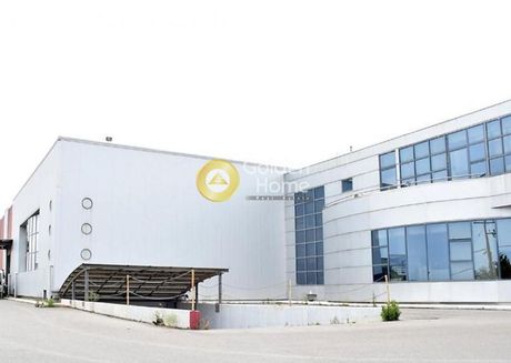 Κτίριο 11.800τ.μ. για πώληση-Εχέδωρος » Διαβατά