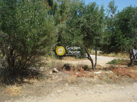 Land plot 480sqm for sale-Kalivia Thorikou » Lagonisi