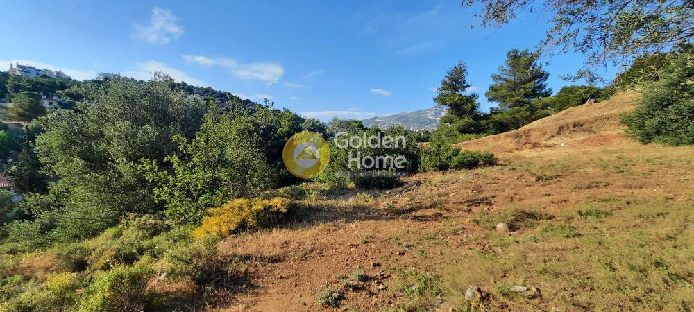 Οικόπεδο 602 τ.μ. προς πώληση, Άνω Πάτημα