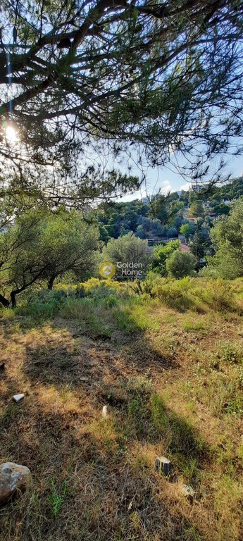 Οικόπεδο 602 τ.μ. προς πώληση, Άνω Πάτημα
