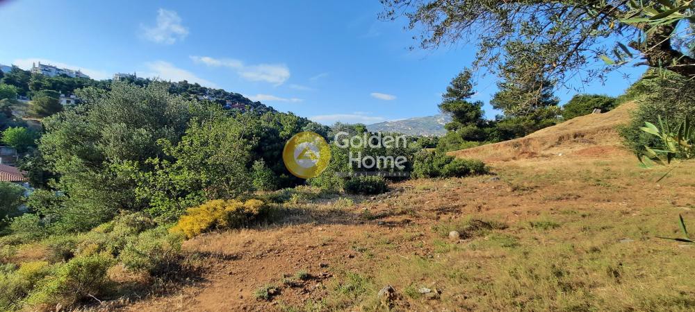 Οικόπεδο 602 τ.μ. προς πώληση, Άνω Πάτημα