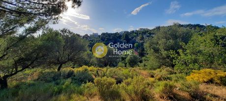 Land plot 602sqm for sale-Chalandri » Ano Patima