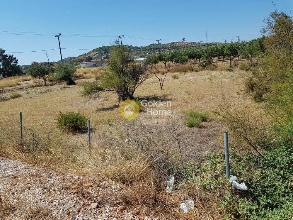 Αγροτεμάχια 930 τ.μ. προς πώληση, Κέντρο Καλυβίων Θορικού