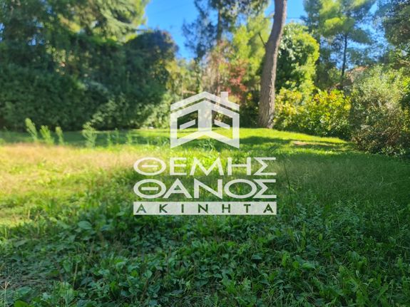 Μονοκατοικία 347 τ.μ. για ενοικίαση, Αθήνα - Βόρεια Προάστια, Διόνυσος