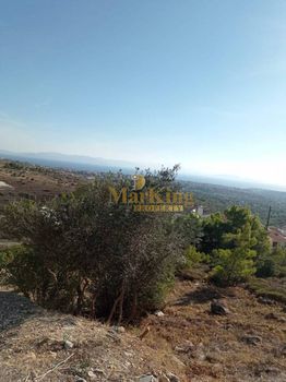 Οικόπεδο 532 τ.μ. για πώληση
