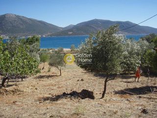 Οικόπεδο 1.800 τ.μ. για πώληση