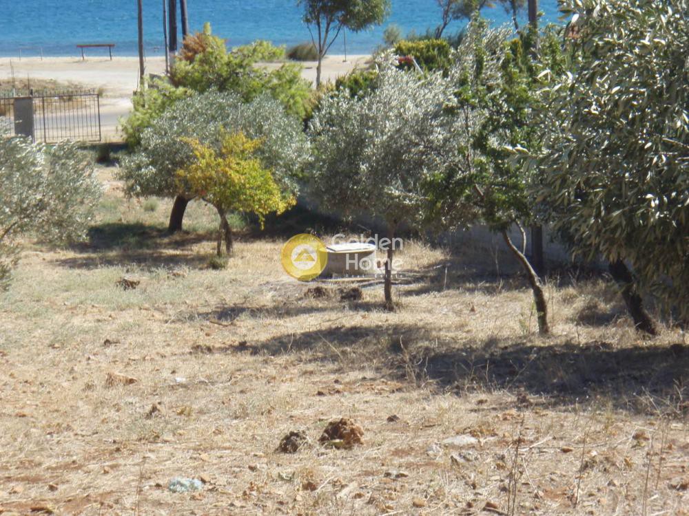 Οικόπεδο 1.800 τ.μ. προς πώληση, Άγιος Δημήτριος Δύστου