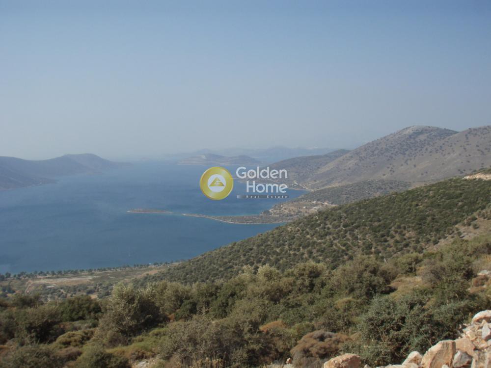 Οικόπεδο 1.800 τ.μ. προς πώληση, Άγιος Δημήτριος Δύστου