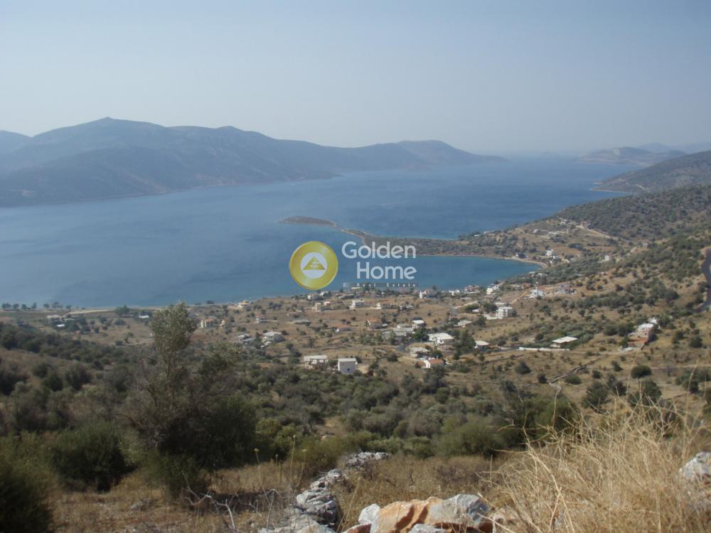 Οικόπεδο 1.800 τ.μ. προς πώληση, Άγιος Δημήτριος Δύστου
